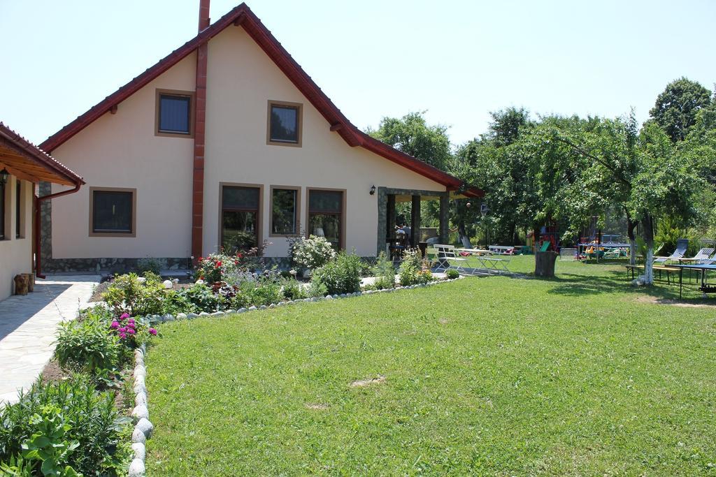 Pensiunea Casa Noastra Baia de Fier Ngoại thất bức ảnh