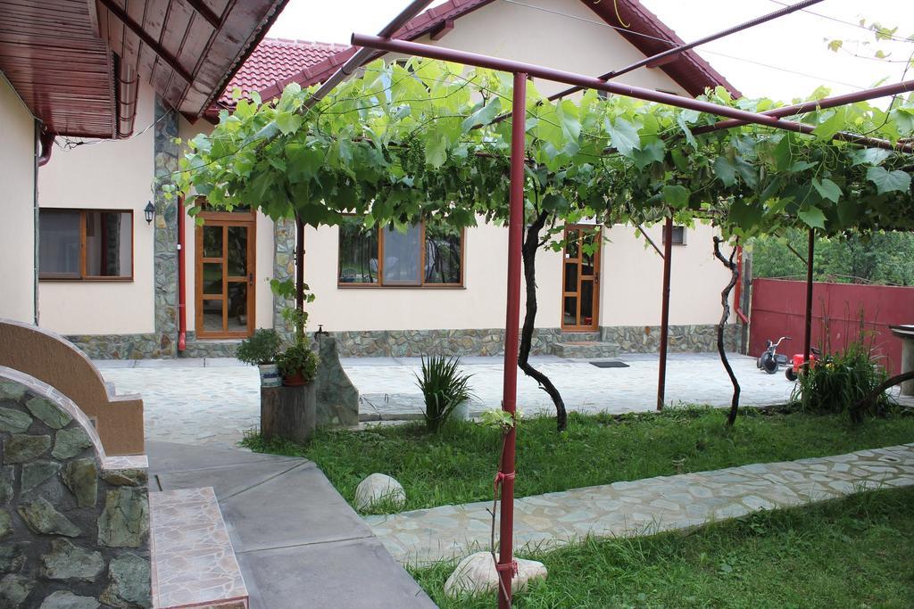 Pensiunea Casa Noastra Baia de Fier Ngoại thất bức ảnh